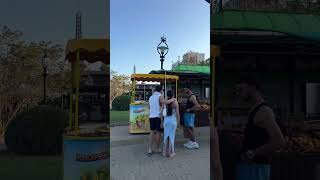Курорт Золотые Пески, можно приехать недорого🚋🚃