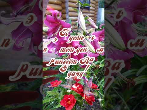 С добрым утром всем кто проснулся #доброеутро