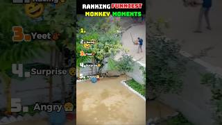 Ranking Funniest Monkey Fails😭🐵!