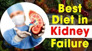 Best Diet for kidney Patients | Foods for Chronic kidney disease | Kidney Treatment Without Dialysis