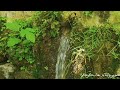 سوريا حماه ابو قبيس سوريا حماه ابو قبيس