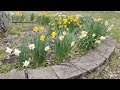 OnePlus 10 Pro 5g video sample 2