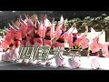 見応え「四国大学連」熱演！真昼の阿波おどり2016＠NHK徳島