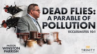 Dead Flies: A Parable of Pollution | Pastor Winston Parrish