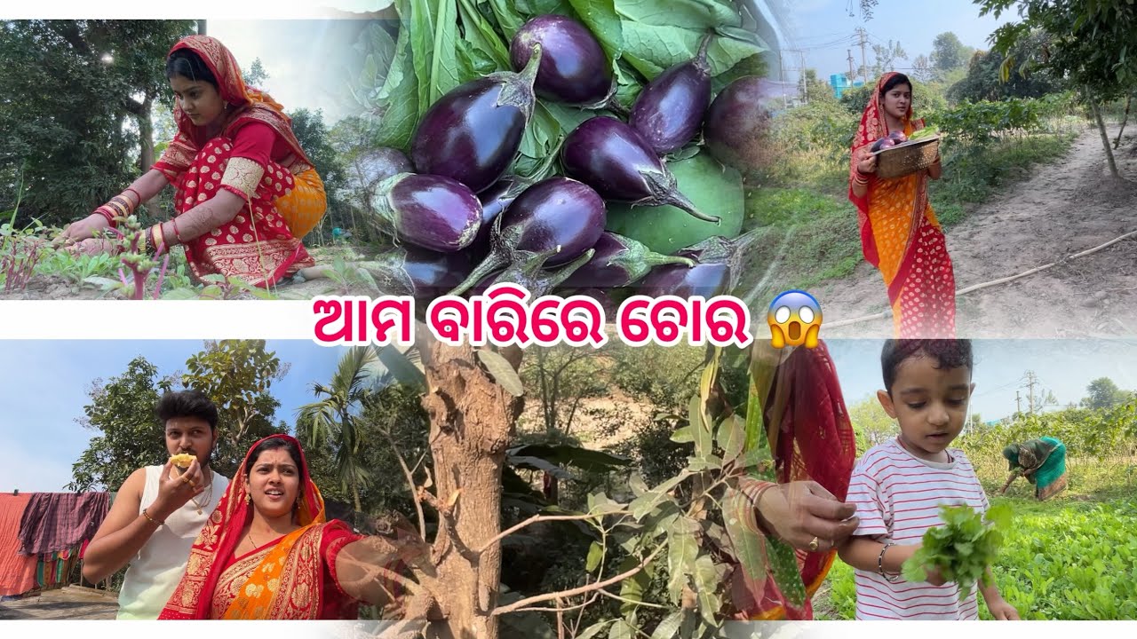 ଗାଁ ବାରିରୁ ଶାଗ ତୋଳିଲି 👍😍 #sumalin #youtube #gaan 