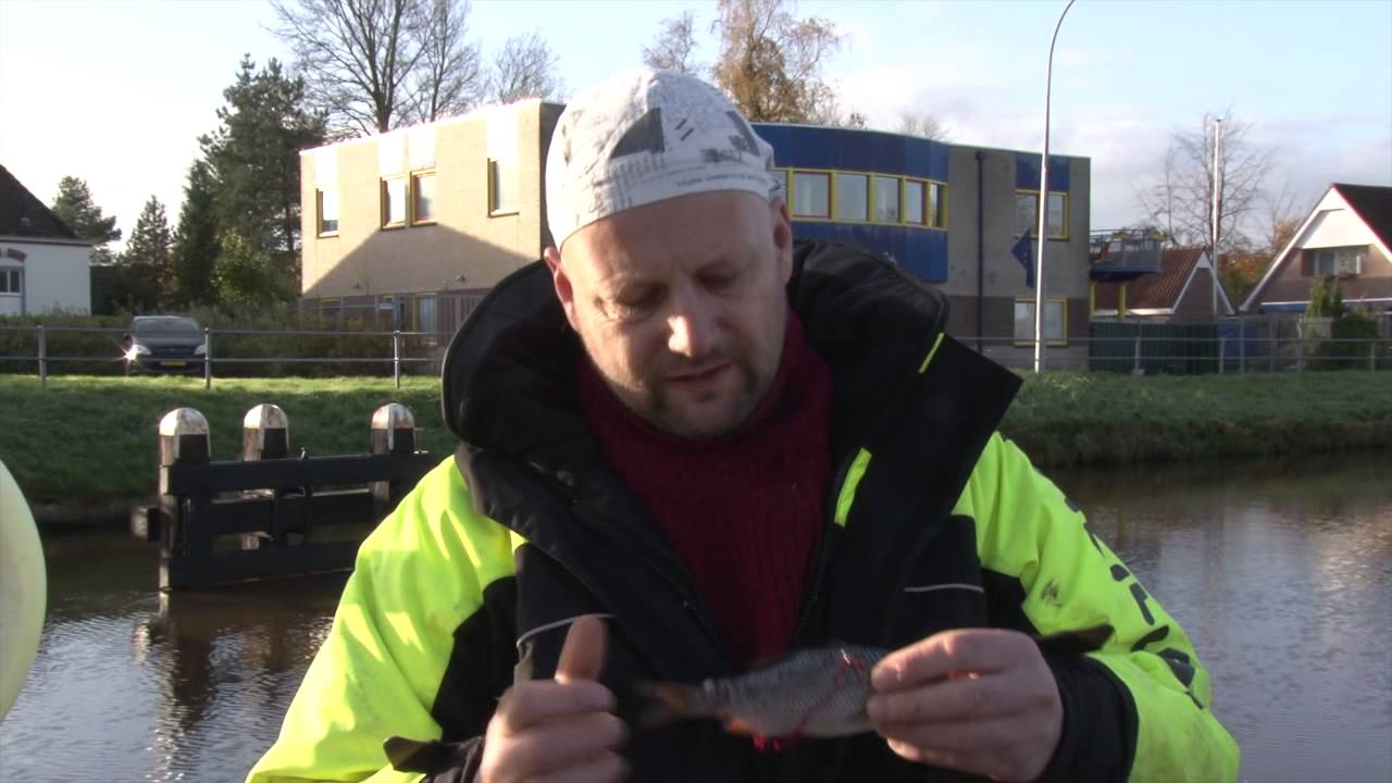 Matze Koch: Kurztipps - Köderfisch Tuning