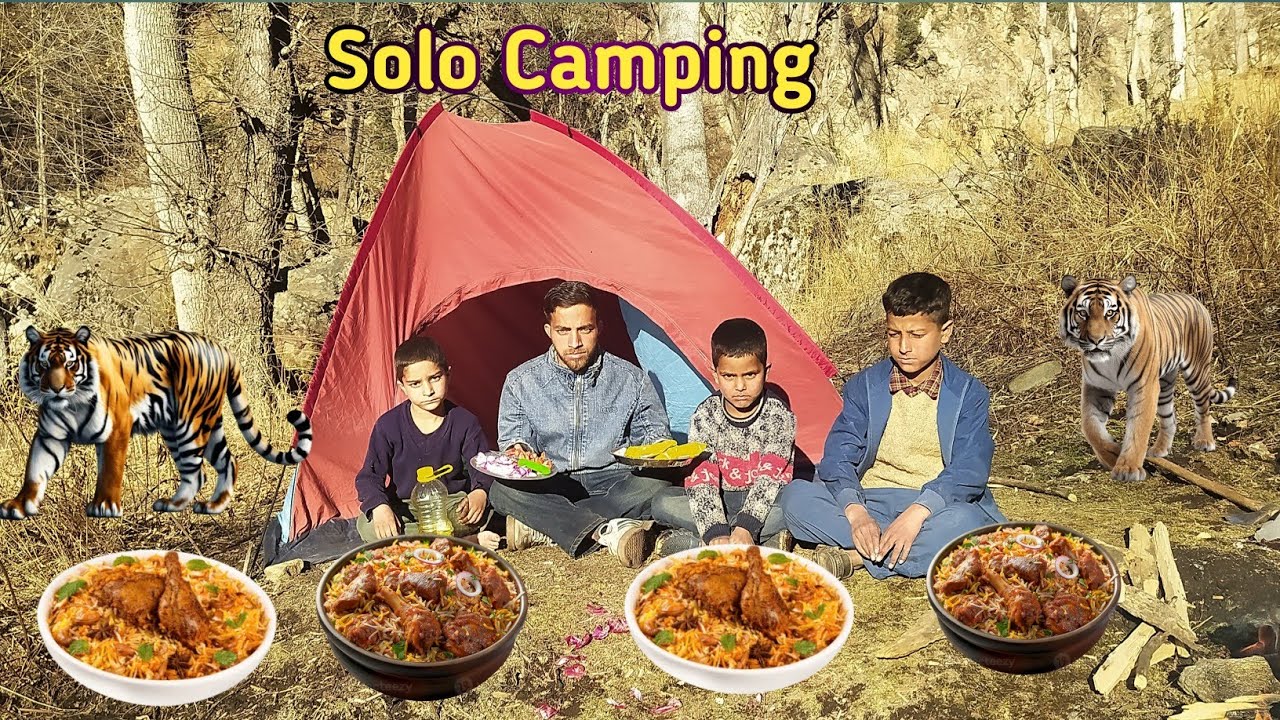 Solo Camping  & Cooking in Jammu & Kashmir Forest !! Camping in india