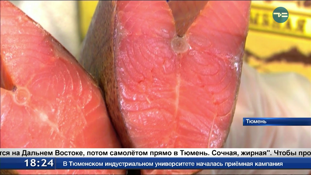 Рыбак Камчатки Пермь Магазин Официальный Цены Рыбак Камчатки Пермь Магазин Официальный Цены