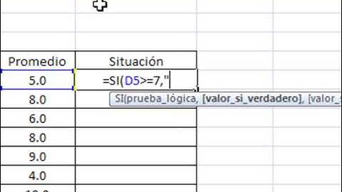 Funcion SI Excel 2007