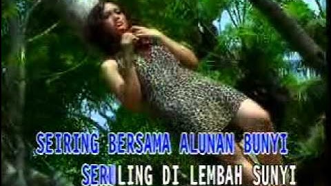 Seruling Dilembah Sunyi