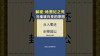 解密  杨贵妃之死,背后的真相#历史 #知识#秘史趣聞