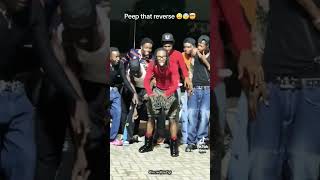 Incredible Zigi On Reverse