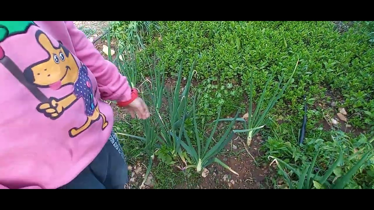 BAHÇEM BAKIMSIZLIKTAN NE HALE GELMİŞ / PELİN İLE BAHÇEMİZİ GEZELİM