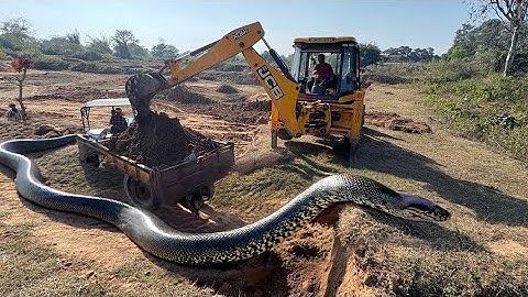 JCB 3dx Backhoe Loading Mud in Mahindra 275 Di tractor JCB miti Khudai #jcb #jcbvideo
