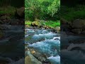 What Makes This Rapid River Flow So Powerfull