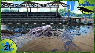 The Arkquarium - Mosasaurus Enclosure Part 1 [21]
