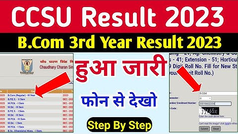 CCSU Result 2023 | ccsu Bcom result 2023 | declared| ccsu result kaise dekhe 2023 | bcom final year