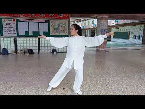 陳氏太極拳56式2208