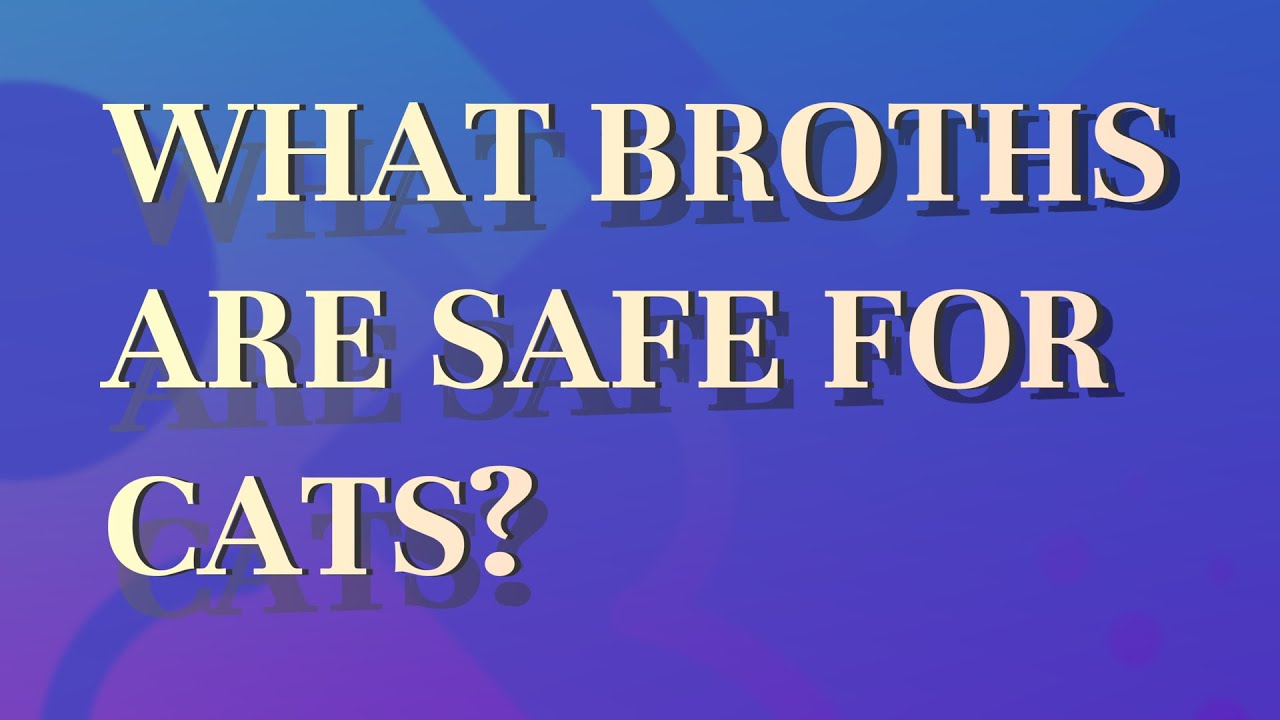 What broths are safe for cats? YouTube