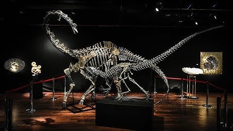 Robot recreates the walk of a 290-million-year-old creature