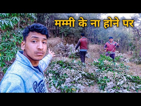 मम्मी के ना होने पर किया सारा काम 😊 | Pahadi lifestley vlog | Sagaar Coach