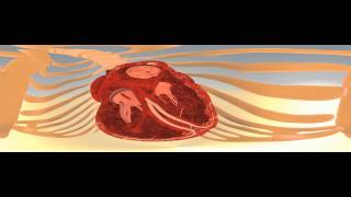 Heart 3d Medical Animation- Explore the heart in 3d - 360 degree