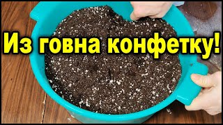 Что-бы рассада была хорошая - я добавлю в землю это. Вот как я смешаю почву для рассады в этом году.