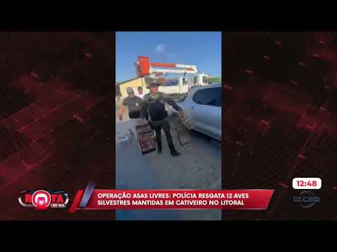 Operação asas livres: polícia resgata 12 aves silvestres mantidas em cativeiro no litoral