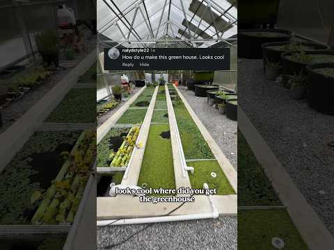 How did I build my greenhouse?
