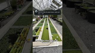 How did I build my greenhouse? @lukesgoldies