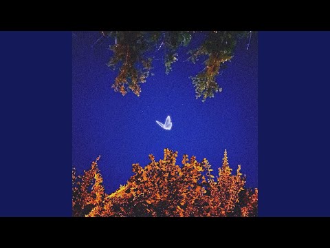 onokami, enveel - обезболы (Speed up)