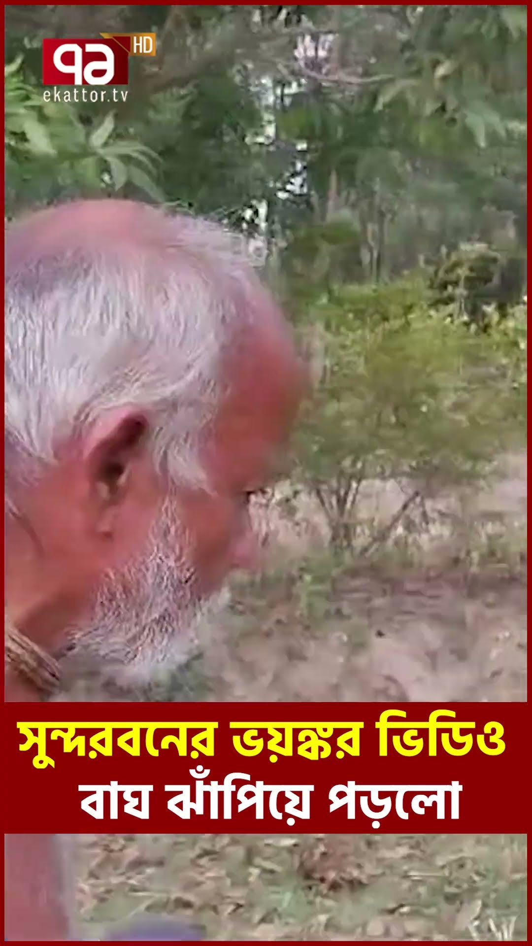 সুন্দরবনে বাঘে-মানুষে ল/ড়া/ই ! #TigerAttack #viralvideo #topnewstoday   #tiger