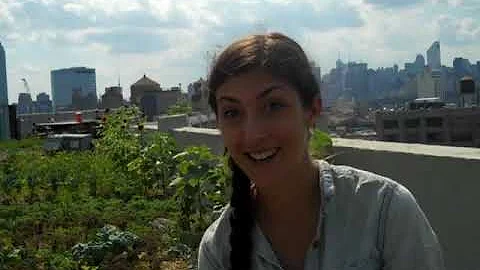 7 Questions with Anastasia Cole Plakias
