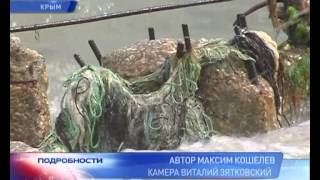 Массовая гибель дельфинов в Крыму(Впервые за 10 лет в Крыму произошел беспрецедентный случай массовой гибели дельфинов. В этом году мертвых..., 2012-05-17T10:50:55.000Z)