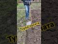 Супер лопата 🔥 #shortvideo #ukraine #animals #природа #nature #agriculture #украина #dog #горы
