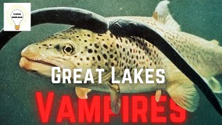 The Great Lakes have an Invasive Parasite Problem…