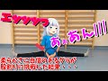 エッ！既に身体が柔らかいグラが股割りを頑張る最高の配信。
