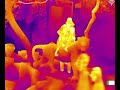 Goyojo cs1pro thermal imaging real shot 1