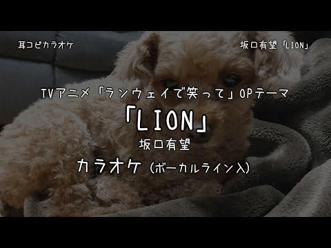 ランウェイで笑って OP 「LION」 坂口有望 VOガイド有【耳コピ カラオケ】