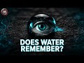 Does Water Remember More Than We Do mp3