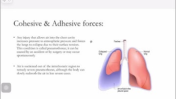 PHY1020_CH09_Fluids_Part_III_11_18_25