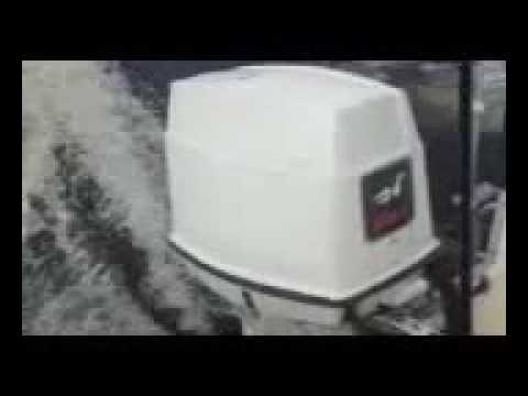 Johnson 60 outboard fuel problems