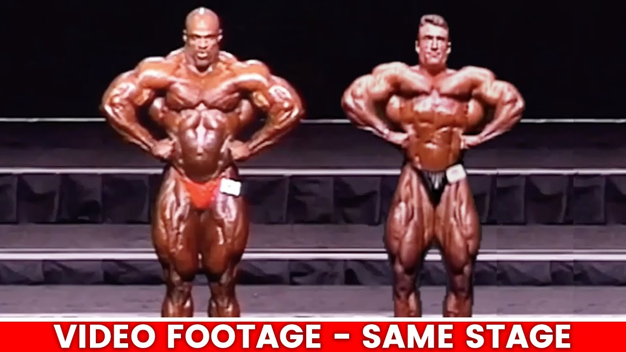 '𝟎𝟑 𝐑𝐎𝐍𝐍𝐈𝐄 and '𝟗𝟑 𝐃𝐎𝐑𝐈𝐀𝐍 - ULTIMATE Comparison