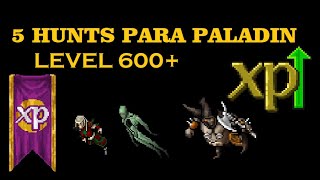 5 Hunts para Paladin level 600+