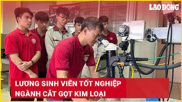 Lương sinh viên tốt nghiệp ngành Cắt gọt kim loại | Báo Lao Động