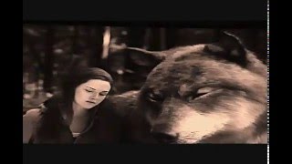 Wish You Were Here - Twilight Saga