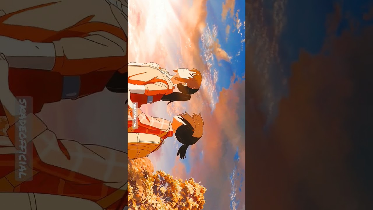 Your Name. edit🍀