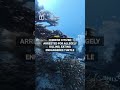 Chinese national arrested for allegedly killing sea turtle
