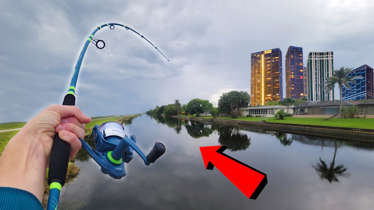 The Best Fishing Spot in the City… a Ditch You've Never Seen