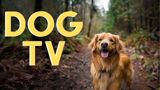 DOG TV For Dogs To Watch: 16 Hours of Nature Hike🌲 With Relaxing Music! by Dog Music Dreams 76,914 views 2 months ago 16 hours